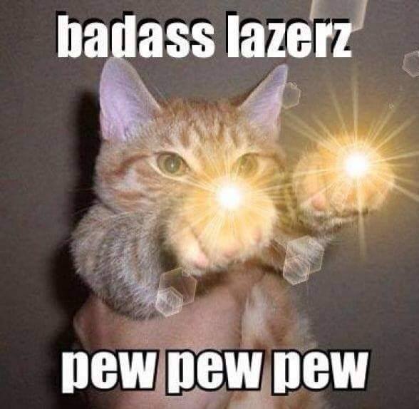 25 Hilarious Memes Of Animals Being Badass 1 badass lezers