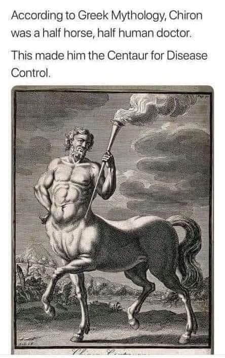 35 Funniest Pun Memes That Are Damn Punny 4 chiron was half horse half doctor