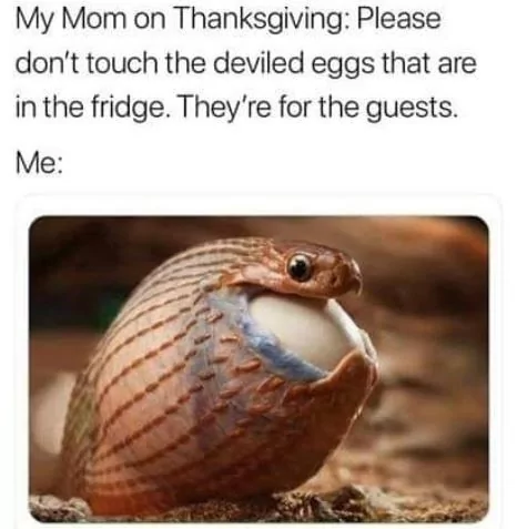34 Best "Thanksgiving Memes" For You To Celebrate The Holiday 6 don't touch the guests