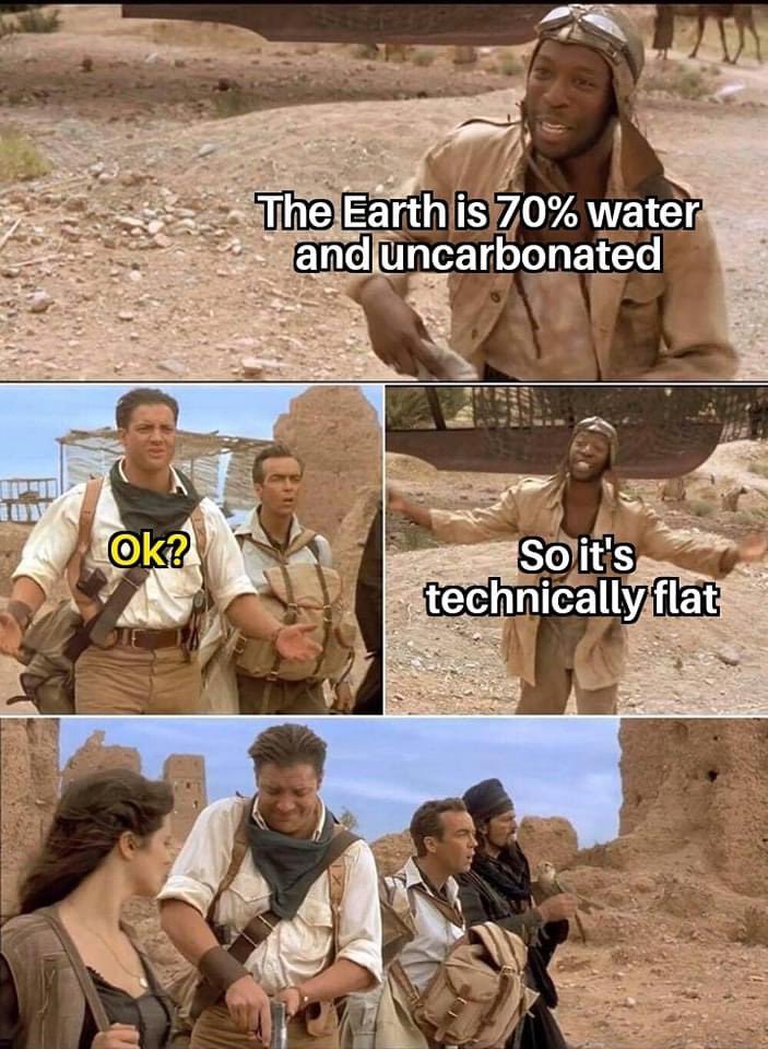 35 Funniest Pun Memes That Are Damn Punny 6 earth is flat
