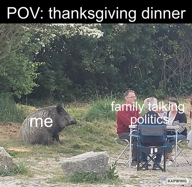 34 Best "Thanksgiving Memes" For You To Celebrate The Holiday 7 family talking politics