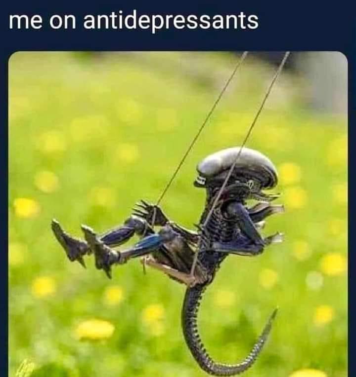 35 Funny Random Memes - A Random Dose Of Happiness 11 me on antidepressant - funny random memes