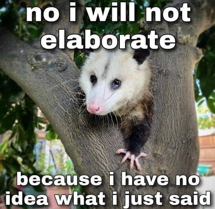 22 Animal Memes To Start Your Day Right 13 no i will not elaborate