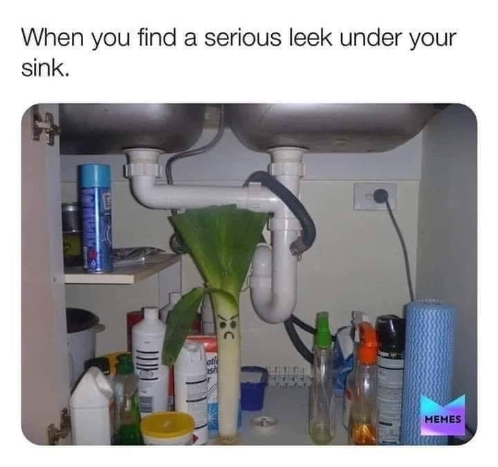 35 Funniest Pun Memes That Are Damn Punny 24 when you find a serious leek