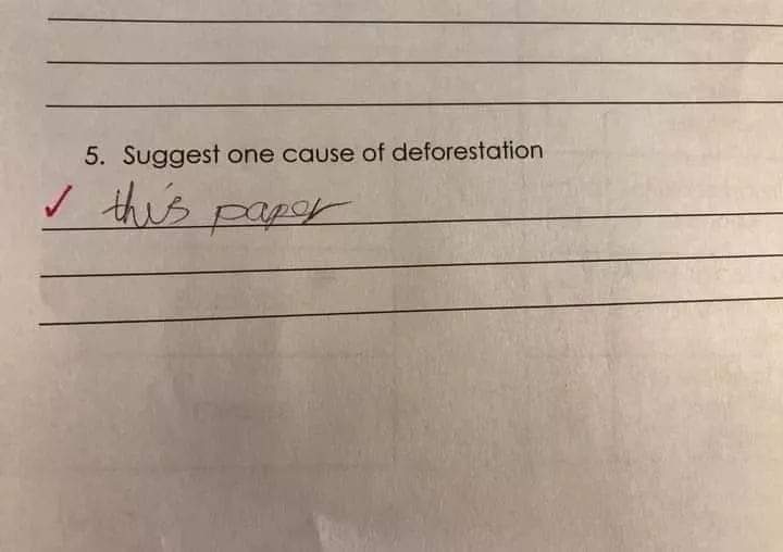 Bang On! 1 causes of deforestation meme