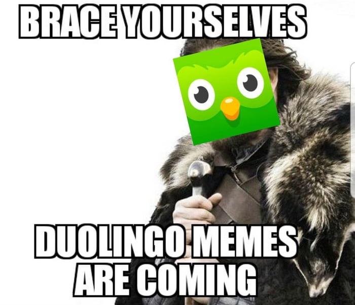 25 Duolingo Owl Memes That Will Keep You Up At Night 3 Brace your selves duolingo owl memes are coming