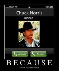 funny chuck norris memes - Chameleon Memes