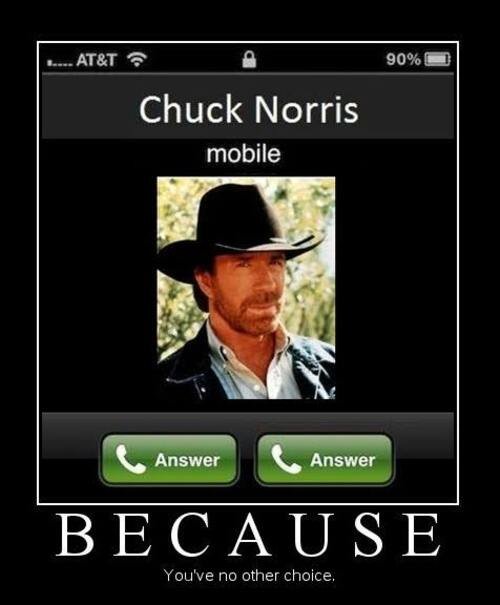 24 Chuck Norris Memes That Will Make You Say “What The Chuck!” | Flipboard