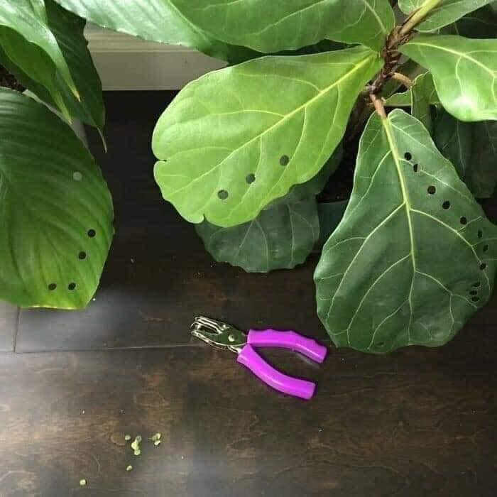 27 Terrifying Images That Show What Its Really Like To Be A Parent 3 Clipping leaves