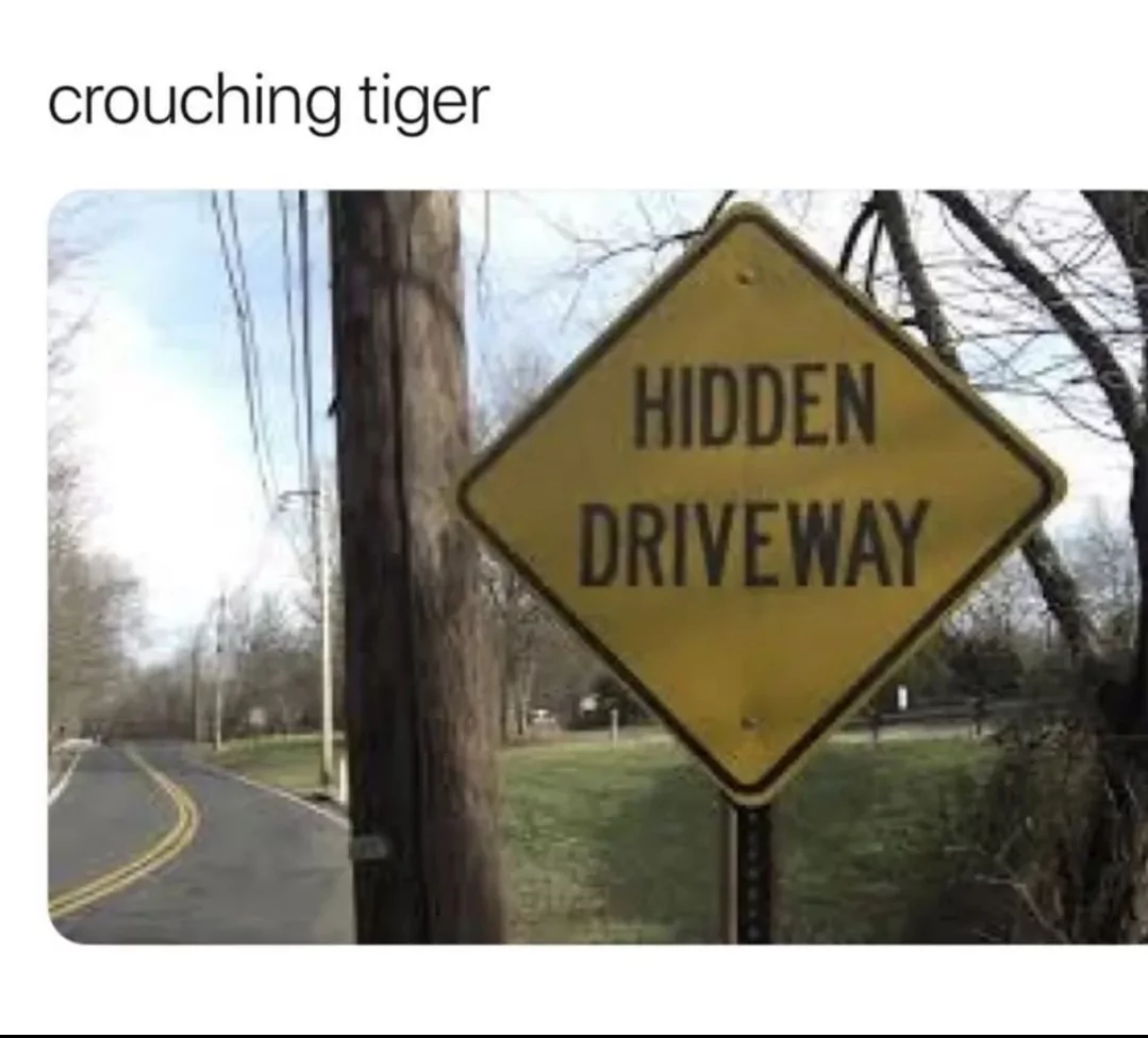 Crouching Tiger Hidden Driveway 1 crouching tiger hidden dragon meme