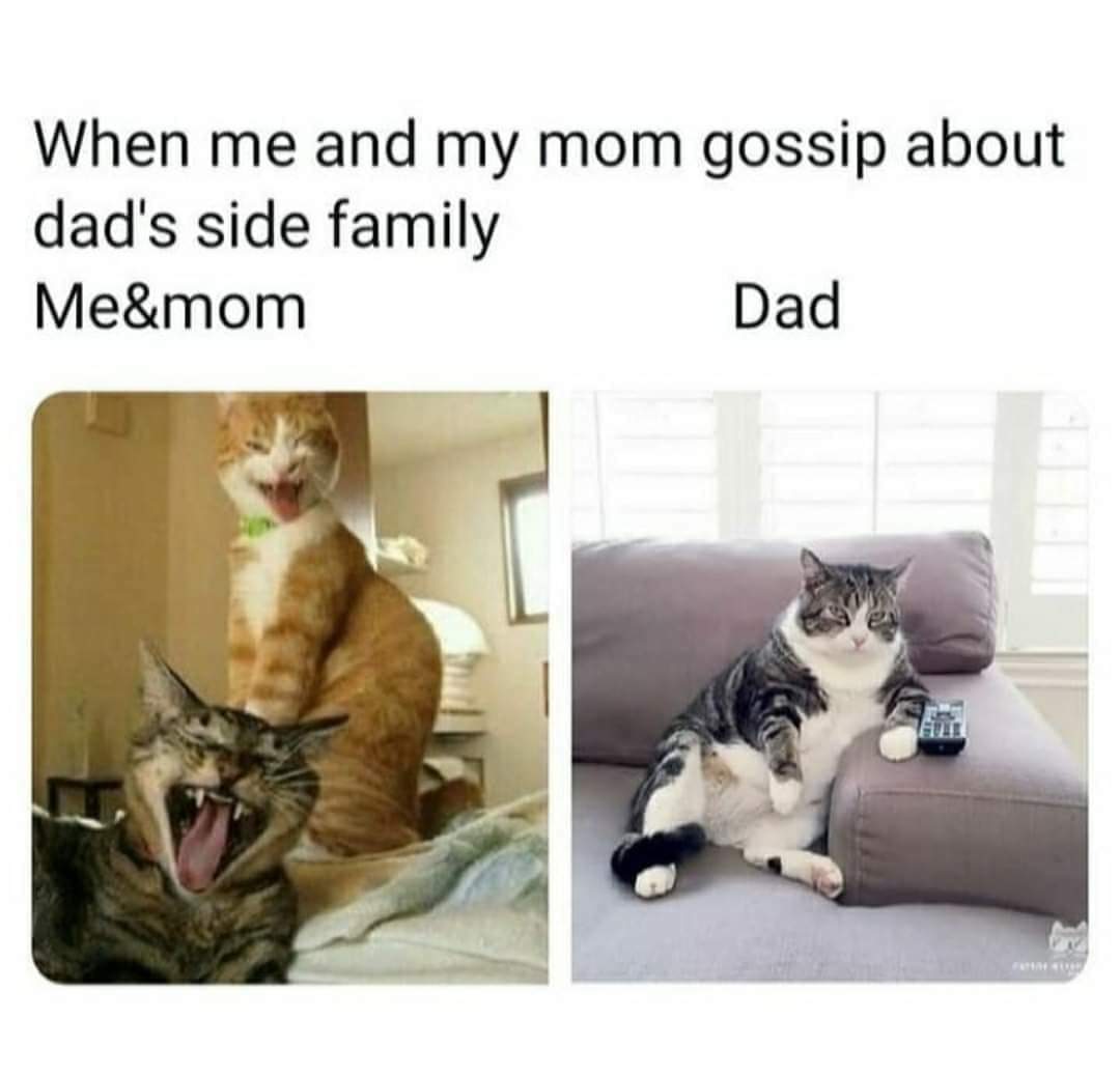 Dad'd Be Like… 1 making tough decisions meme