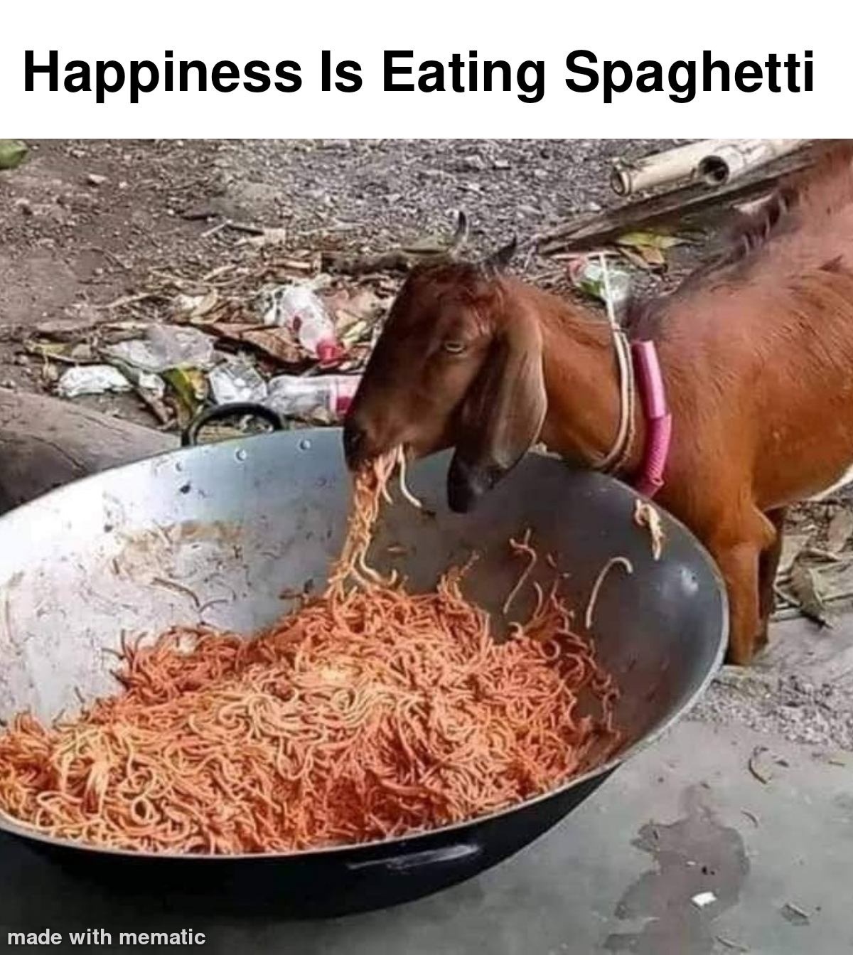Happiness Is Eating Spaghetti 1 Happiness is eating spaghetti memes