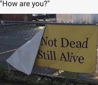 How Are You 1 how are you meme