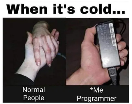 How Do Programmers Beat The Cold 1 Programmers beating cold meme