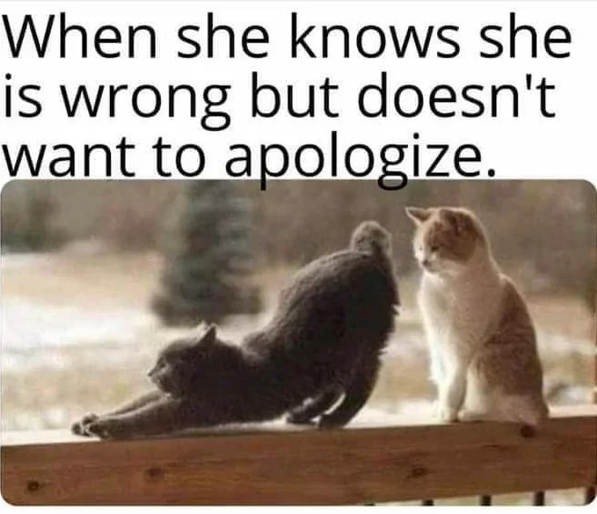 How She Apologizes When She Knows She Is Wrong 1 When she doesn’t want to apologize meme