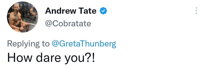 Hilarious Tweets Erupt As Andrew Tate Responds To Greta Thunberg 1 Andrew Tate how dare you?
