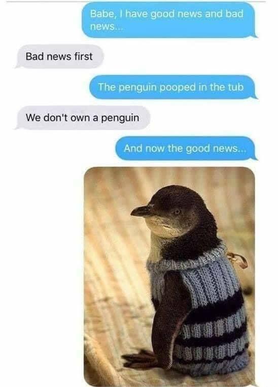 40 Hilarious Memes for These Trying Times 8 I have a good news and a bad news