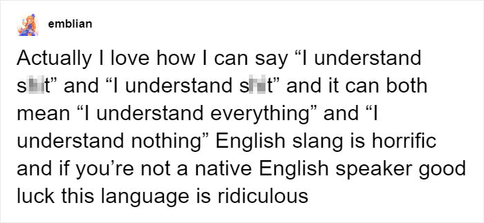 30 Hilarious Memes That Prove English Is The Funniest Language 6 I understand nothing