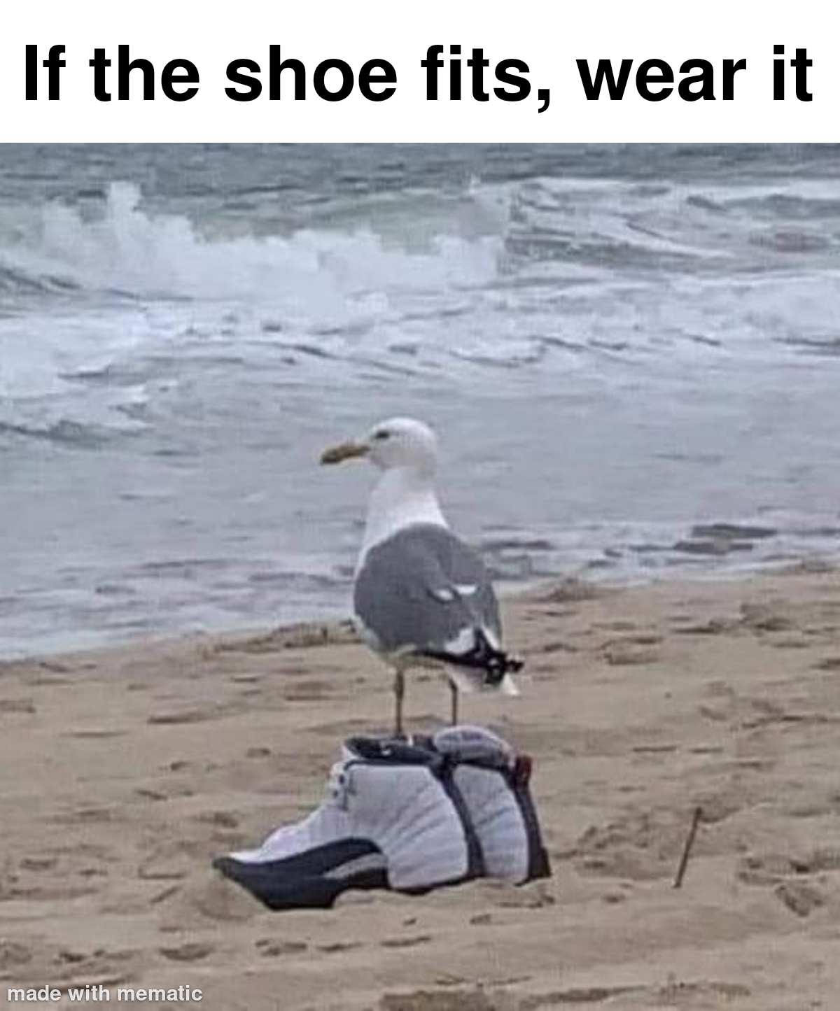 If The Shoe Fits, Wear It 1 if shoe fits meme