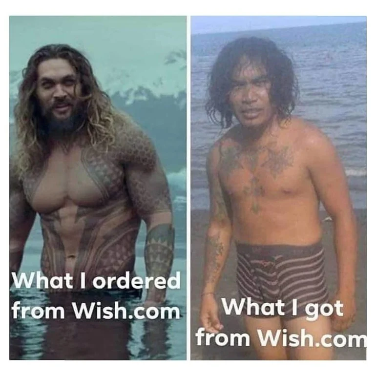 32 "When You Order From Wish Memes" That Will Make You Wish You Never Ordered From Wish 6 Jason momoa from wish