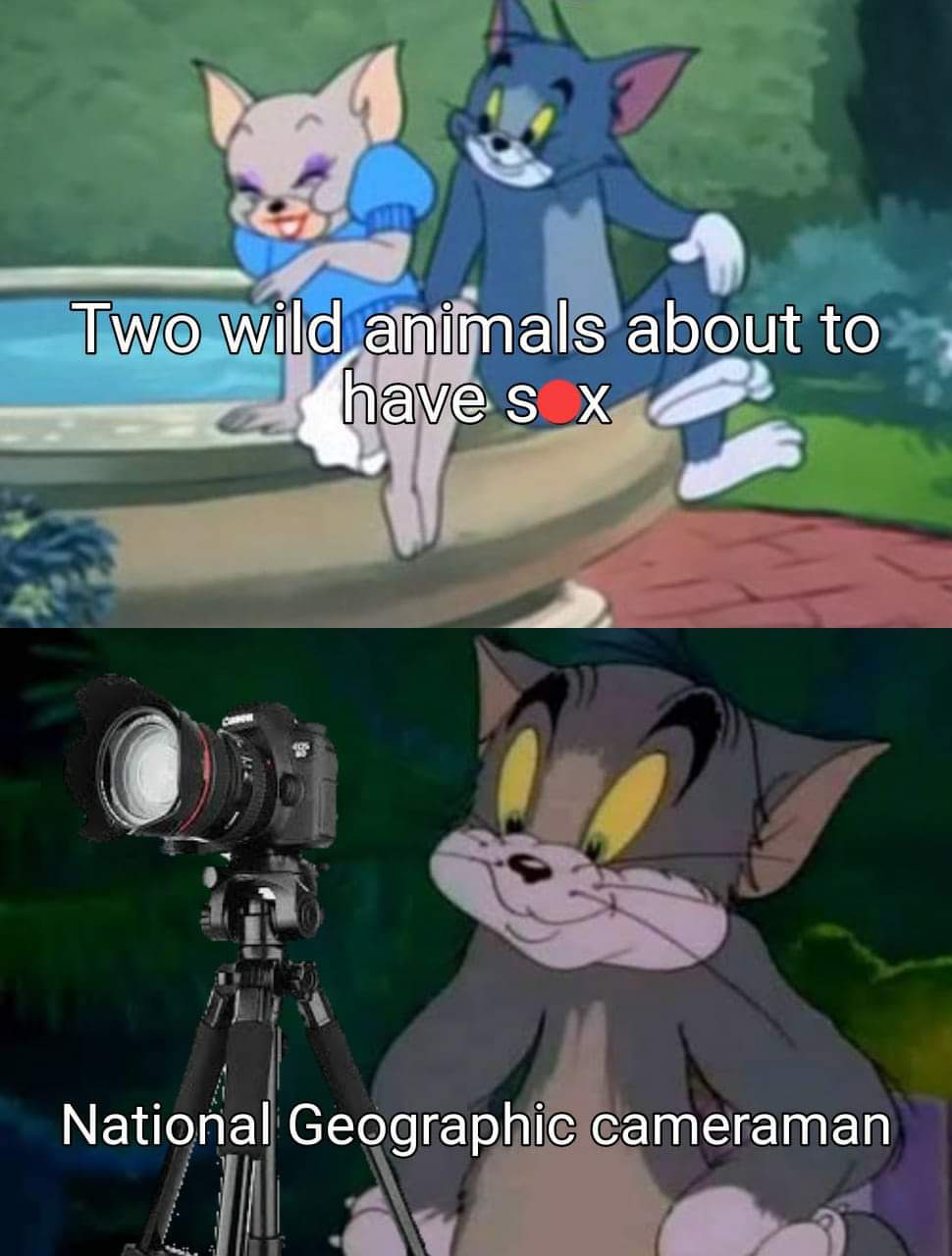 Meanwhile National Geographic Cameraman 1 national geographic cameraman meme