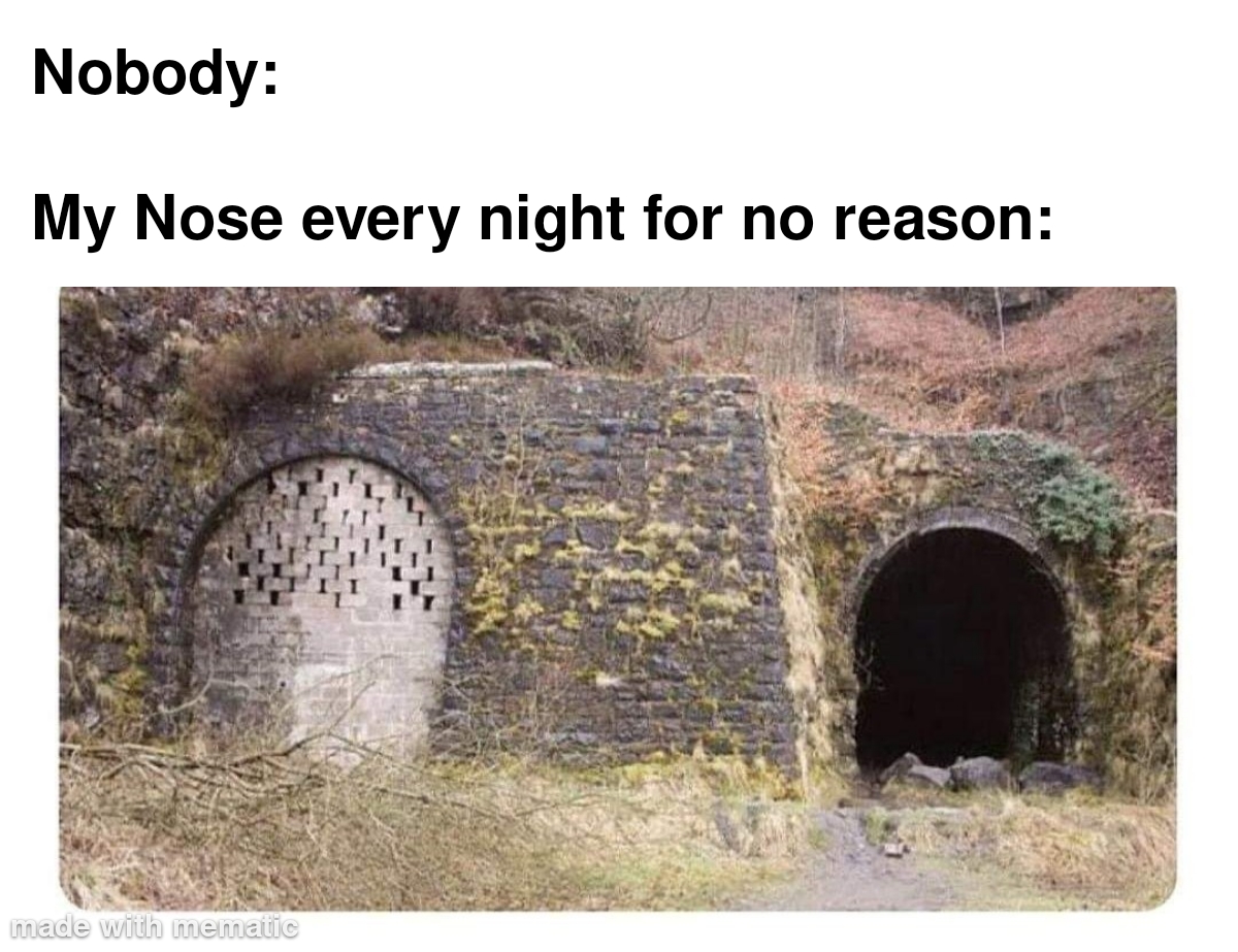 My Nose Every Night For No Reason 1 my nose every night meme
