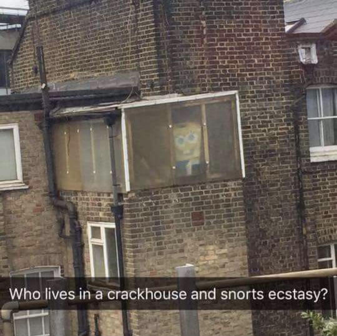 Sponge Bob Square Pants! 1 SpongeBob meme