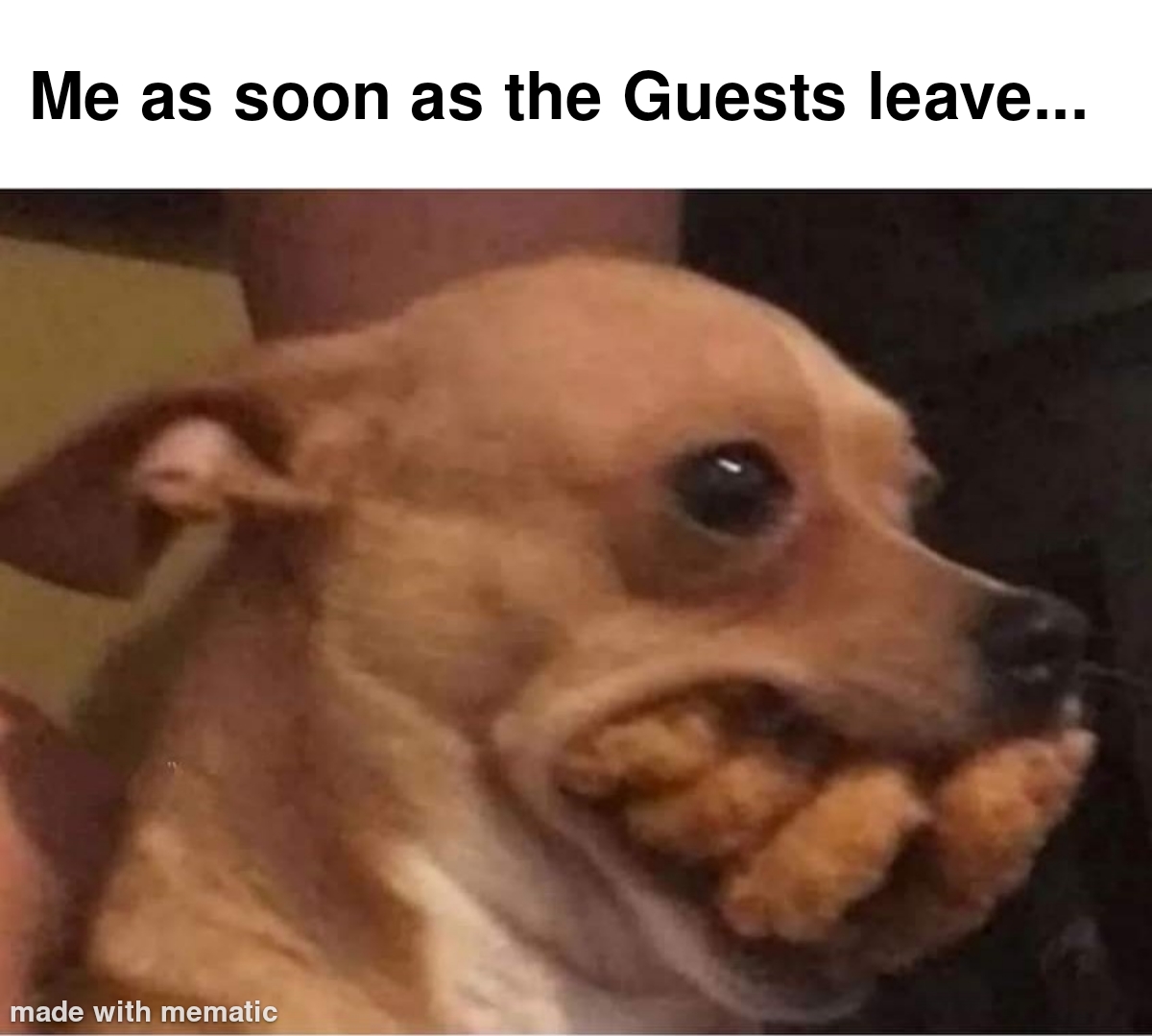 The Moment I've Been Waiting For The Past 2 Hours 1 when the guests leave meme