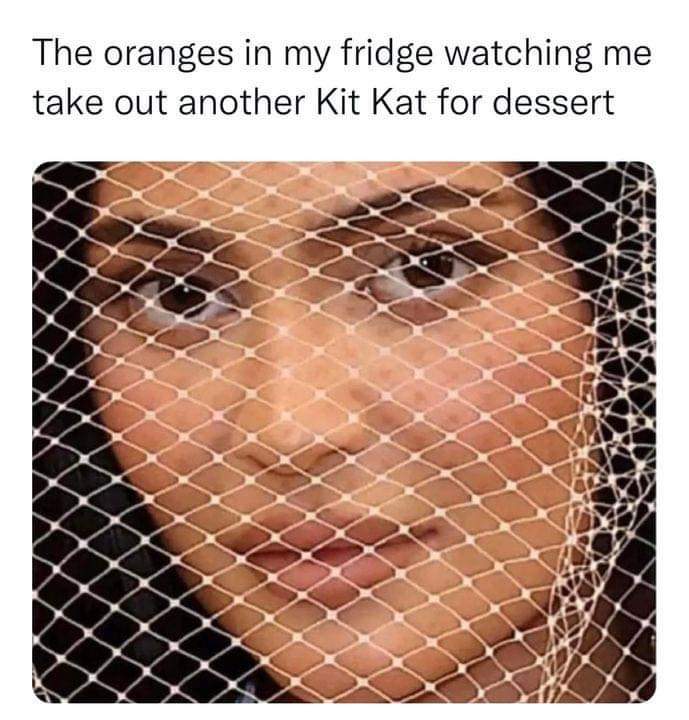 The Oranges In My Fridge Be Like… 1 oranges in my fridge meme