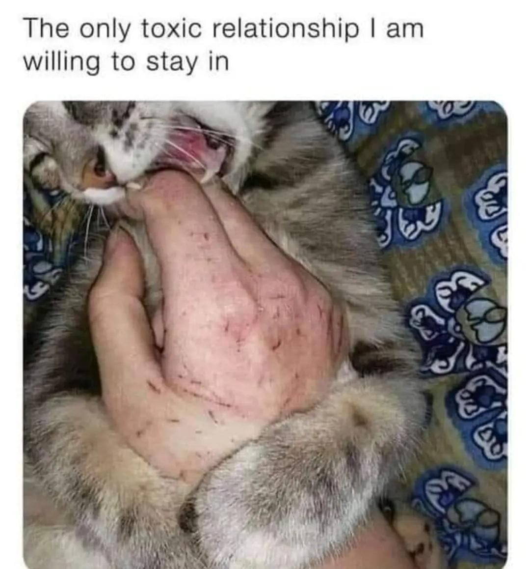 30 Bottom Shelf Memes For Your Top Shelf Occasions 9 The only toxic relationship - bottom shelf memes