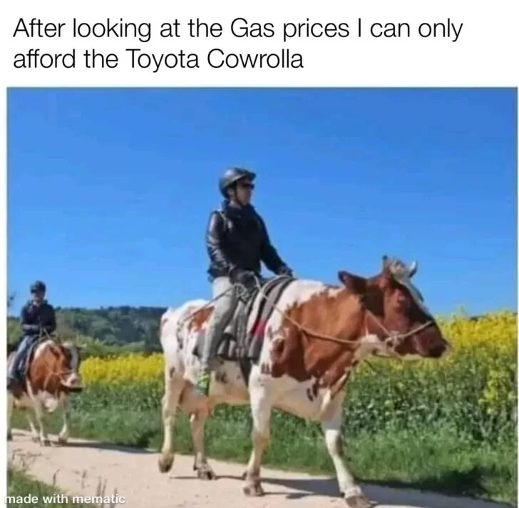 Top Highlights Of 2022 Memes - To Make You Laugh One Last Time 8 Toyota Cowrolla