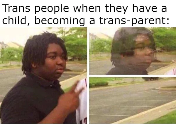 Trans People When They Have A Child 1 trans meme