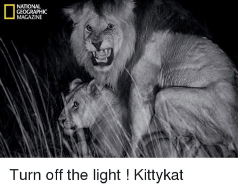 20 Best National Geographic Cameraman Memes Of All Time 15 Turn off the light