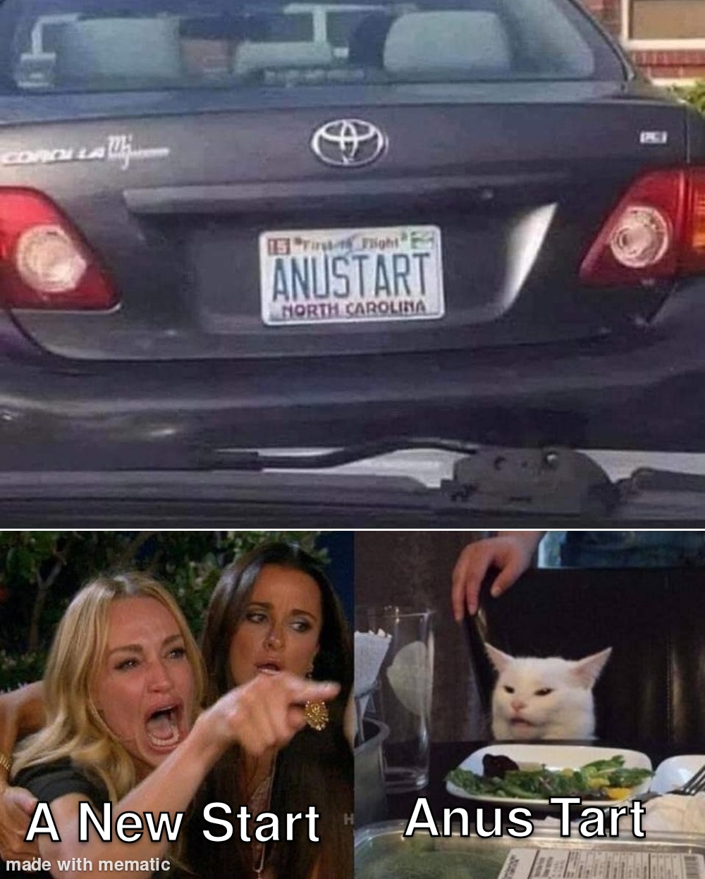 What Do You Think 1 girl yelling at cat meme