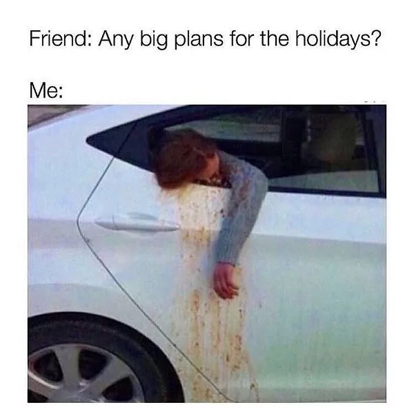 What My Holiday Plans Looks Like 1 holiday plans meme