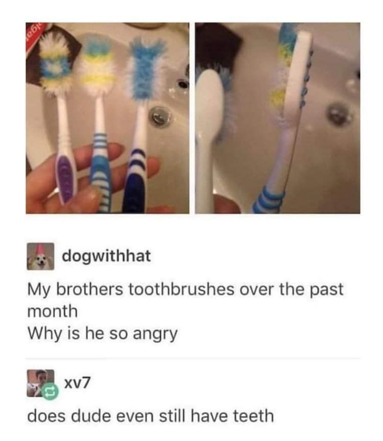 When Tootbrushes Become Toilet Brushes 1 toothbrush meme