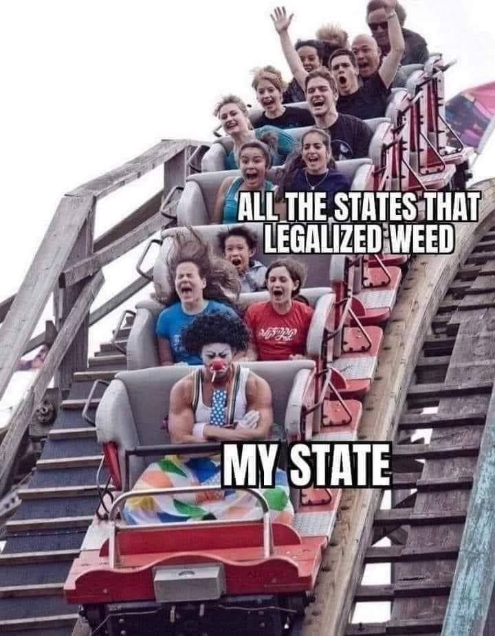 40 Hilarious Memes for These Trying Times 2 all the states legalized weed