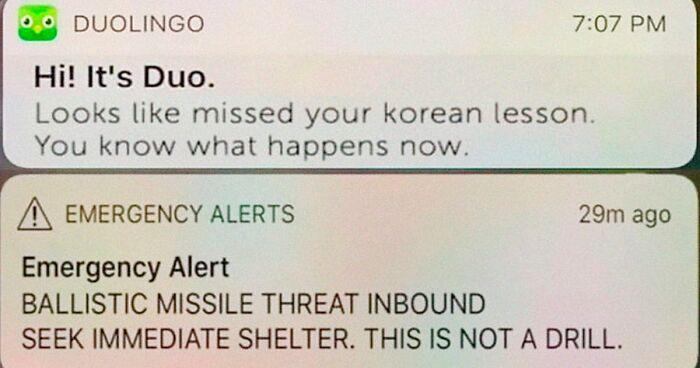 25 Duolingo Owl Memes That Will Keep You Up At Night 2 ballastic missile