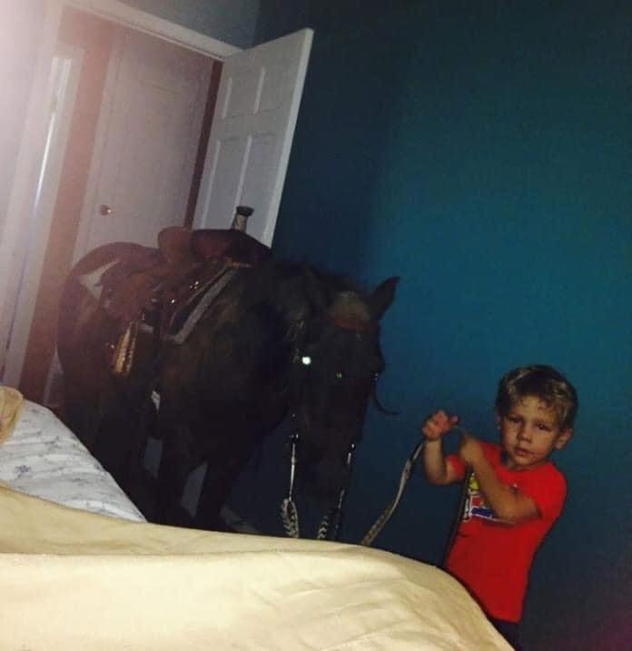 27 Terrifying Images That Show What Its Really Like To Be A Parent 1 bring in horse in the bedroom