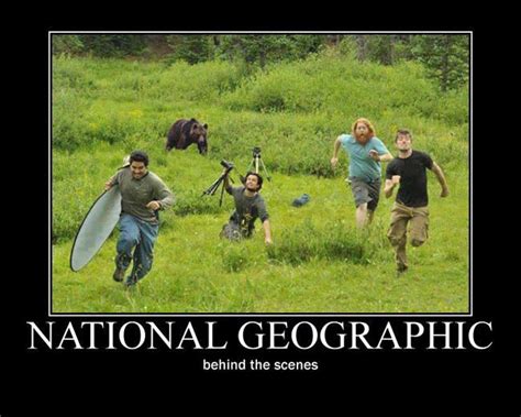 20 Best National Geographic Cameraman Memes Of All Time 4 chased by bear 1