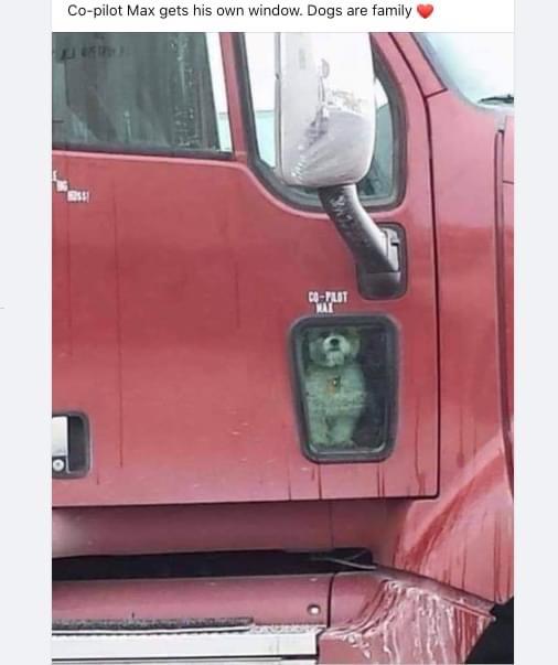 20 Random Memes To Make Your Sunday Better 18 copilot max gets his own window