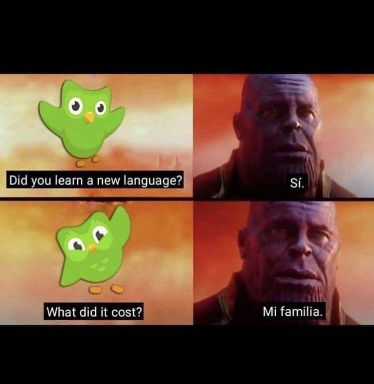 25 Duolingo Owl Memes That Will Keep You Up At Night 4 did you learn a new language