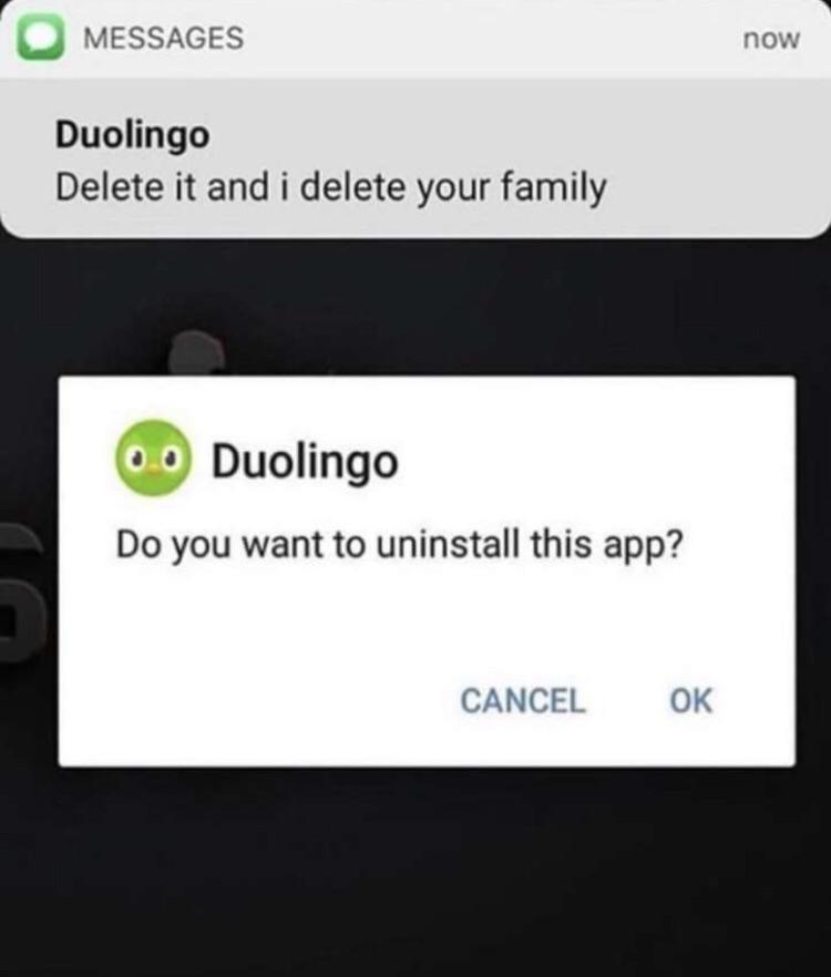 25 Duolingo Owl Memes That Will Keep You Up At Night 6 do you want to uninstall app