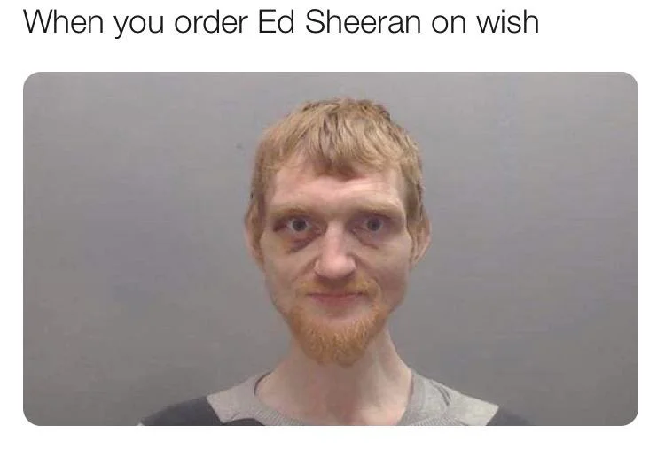 32 "When You Order From Wish Memes" That Will Make You Wish You Never Ordered From Wish 4 edsheran from wish