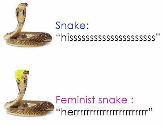 What The Pun! Step into the World of Punny Memes 4 feminist snake