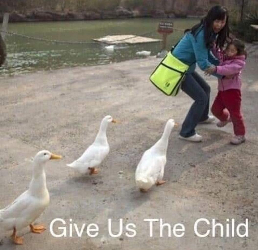 20 Random Memes To Make Your Sunday Better 15 give us the child