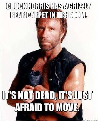 35 Chuck Norris Memes That Will Make You Say "What The Chuck!" 10 grizzly bear carpet in room