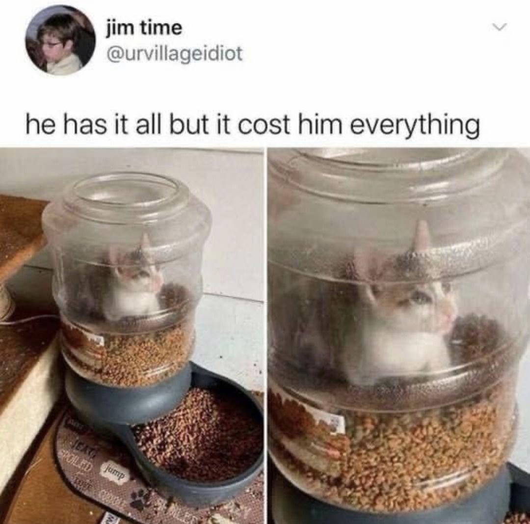 A Haphazard Assortment Of Memes To Make You Feel Relevant 9 he has it all