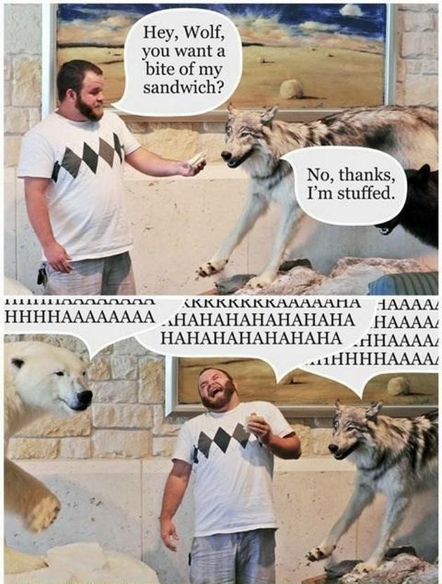 What The Pun! Step into the World of Punny Memes 5 hey wolf you wanny bite a sandwich