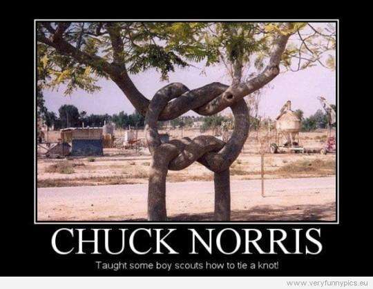 35 Chuck Norris Memes That Will Make You Say "What The Chuck!" 12 how to tie knot